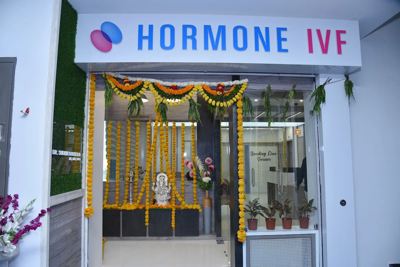 Hormone IVF